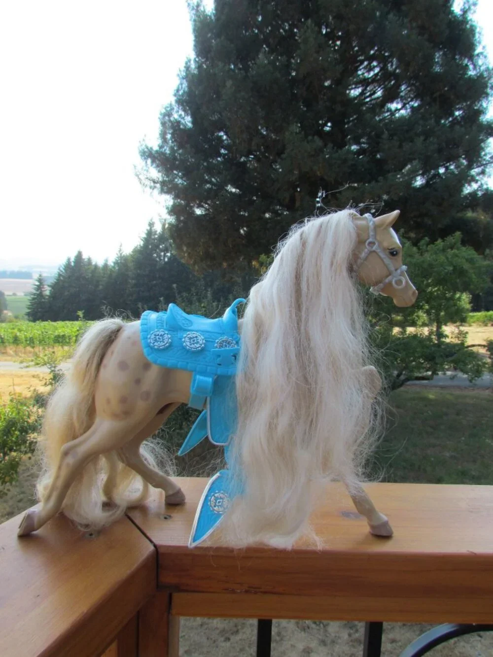 BARBIE WESTERN STAR HORSE + TRAILER, SADDLES, WOODEN TACK BOX BENCH, MISC LOT